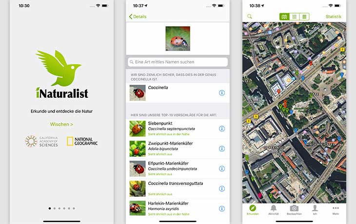 iNaturalist App Screenshot
