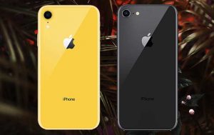 iPhone Xr vs. iPhone 8: Beide Handys von hinten