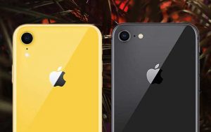 iPhone Xr vs. iPhone 8: Kameras nebeneinander