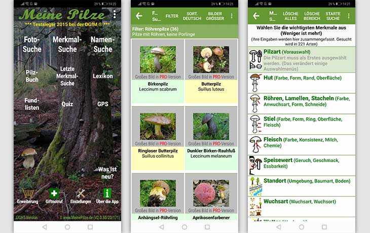 Pilz-App: Meine Pilze