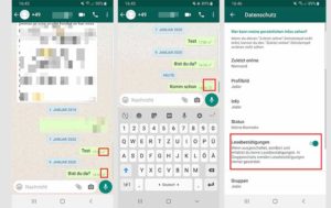 WhatsApp-Haken: Was Bedeuten Die Häkchen In Blau Und Grau?